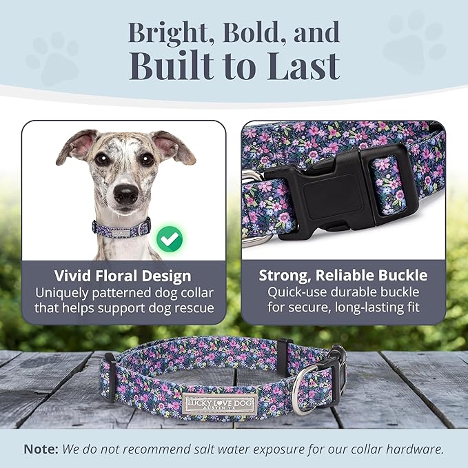 Lucky Love Dog, Comfortable, Soft, Cute Female Dog Collar for Medium Dogs, Black & Purple Floral Print, Adjustable Nylon Collar, Primrose, Medium