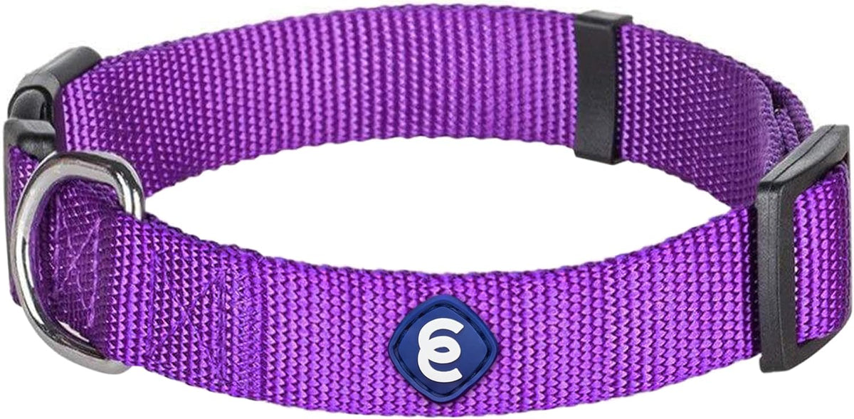 Blueberry Pet Essentials X-Small Dog Collar in Dark Orchid | Adjustable & Eco-Friendly Durable Nylon Strap | Classic Collar for X-Small Dogs, Boy & Girl Pets