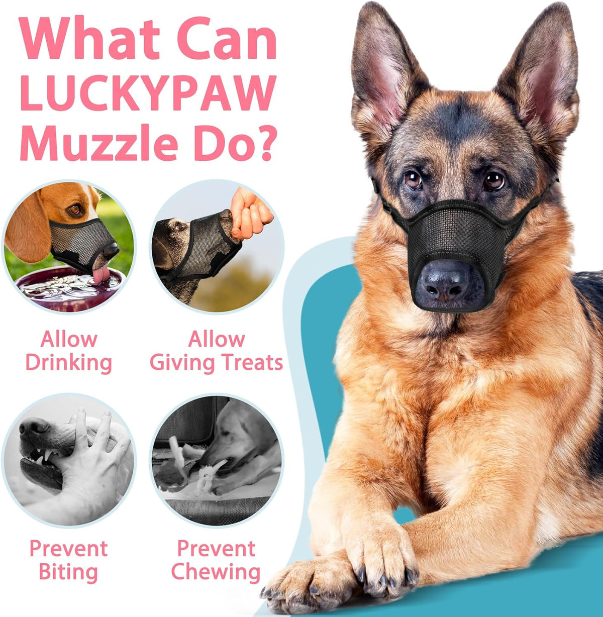 LUCKYPAW Dog Muzzle, Mesh Muzzle for Large Medium Small Dogs, Soft Mouth Guard for Biting Chewing, Breathable Mouth Guard with Adjustable Strap for Training (Black, M(Snout:8.75"-9.5"))
