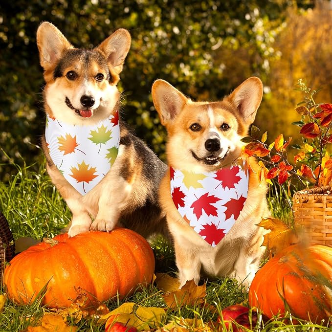 Abbylike 50 Pcs Fall Dog Bandana Bulk Maple Leaves Bandana for Dogs Triangle Kerchief Bibs Scarf for Small Medium Large Pet Autumn Thanksgiving Costume Accessories, 25 Styles (31.5 x 21.7 x 21.7 Inch)