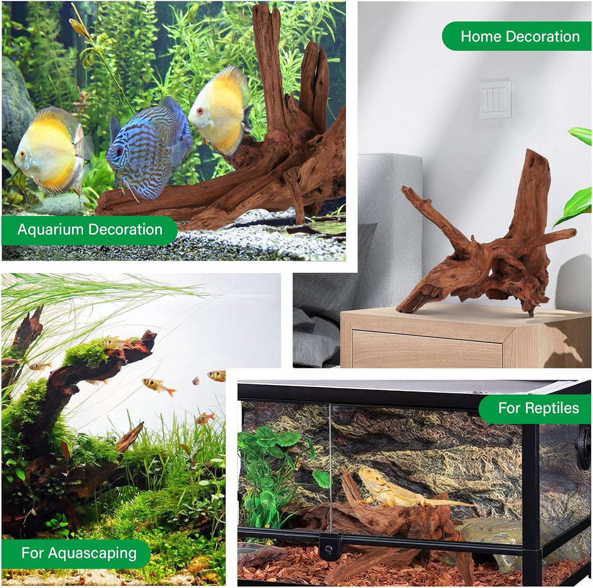 Driftwood for Aquarium Natural Aquarium Wood for Aquascaping Fish Tank Decorations Reptile Tank Decor (Natural Driftwood 12-16" 1 Pack+Protein Cotton)