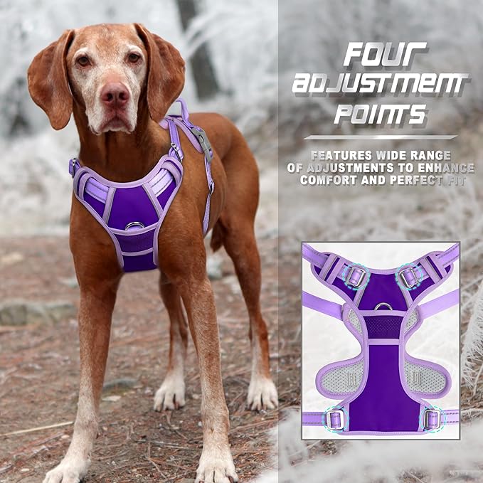 BARKBAY No Pull Dog Harness Front Clip Heavy Duty Reflective Easy Control Handle for Large Dog Walking(Violet Purple & Purple,L)
