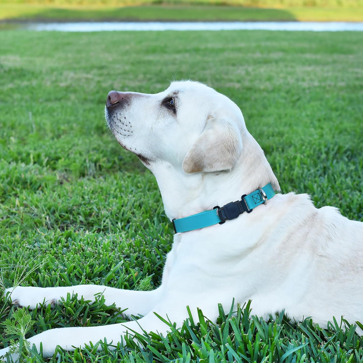 Dogline Biothane Waterproof Dog Collar with Herm Sprenger Stainless Steel Quick Release Buckle – Heavy Duty Tactical Durable Collar for Dogs – Comfortable and Safe Pet Collar, W 1" L 15-25" Sky Blue