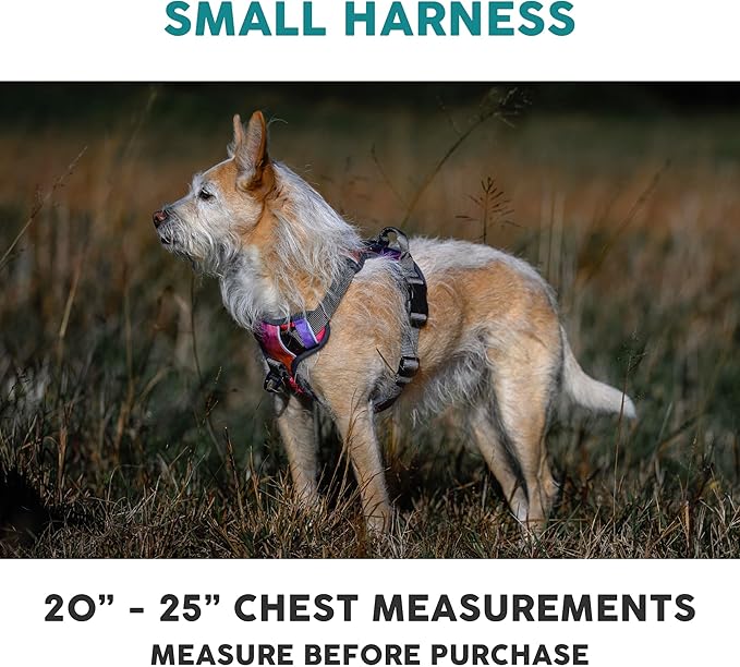 Embark Adventure Dog Harness, Reflective Trim No Pull Dog Harnesses for Small Sized Dogs - Military Grade Nylon, Front Clip with Gel Lined Handle. Soft & Padded Puppy