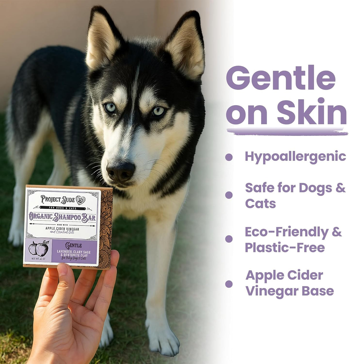 Gentle All Natural Dog Shampoo for Dry Coat for Sensitive Skin | Bar Shampoo for Dogs | Organic Dog Shampoo Sensitive Skin | Lavender (1)