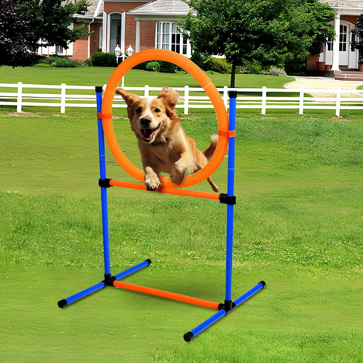 Dog Agility Equipment, 2 in 1 Dog Obstacle Course Training Starter Kit Adjustable Jump Ring/Hurdle Bar with Carry Bag
