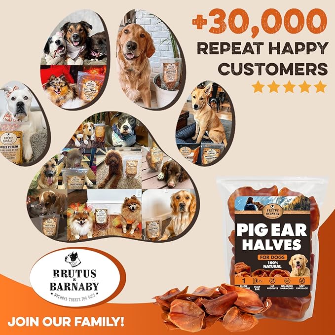 BRUTUS & BARNABY Pig Ear Halves for Dogs, 40 Ct. – All-Natural Single Ingredient Dog Chews, Slow Cooked & Fully Digestible Rawhide Alternative