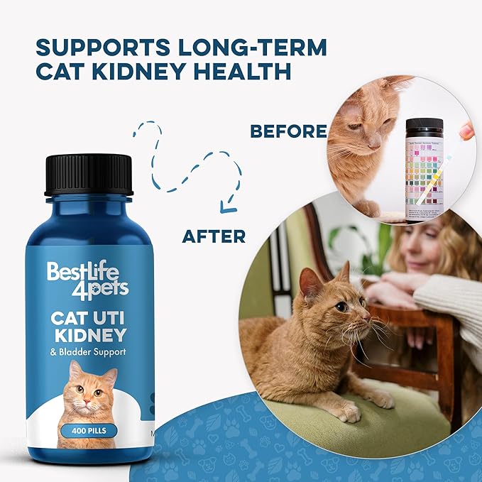 Cat UTI Remedy & Kidney Support for Cats, Natural Urinary Tract Infection and Cat Bladder Crystals Treatment Helps Flush Out Kidney Stones, Clears Infection, & Improves Kidneys Health, 400 Tiny Pills