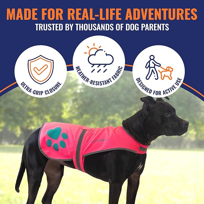 Dog Reflective Vest – Hi-Vis Fluorescent Visibility That Helps to Safeguard Your Pet On/Off Leash in Urban & Rural Areas (Pink, X-Small)
