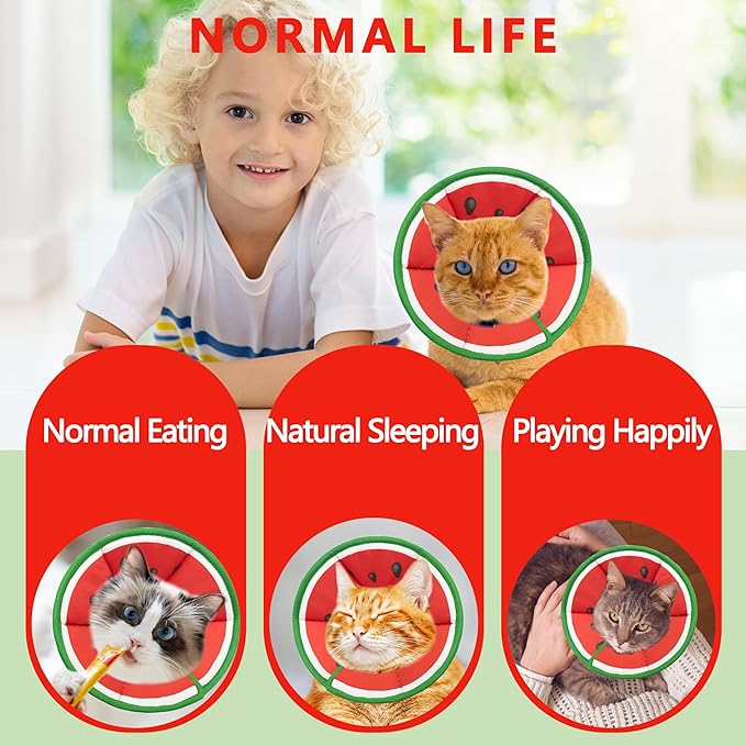 Soft Adjustable Cat Cone Collar - Comfortable Recovery Collar for Cats After Surgery (Watermelon, Medium)