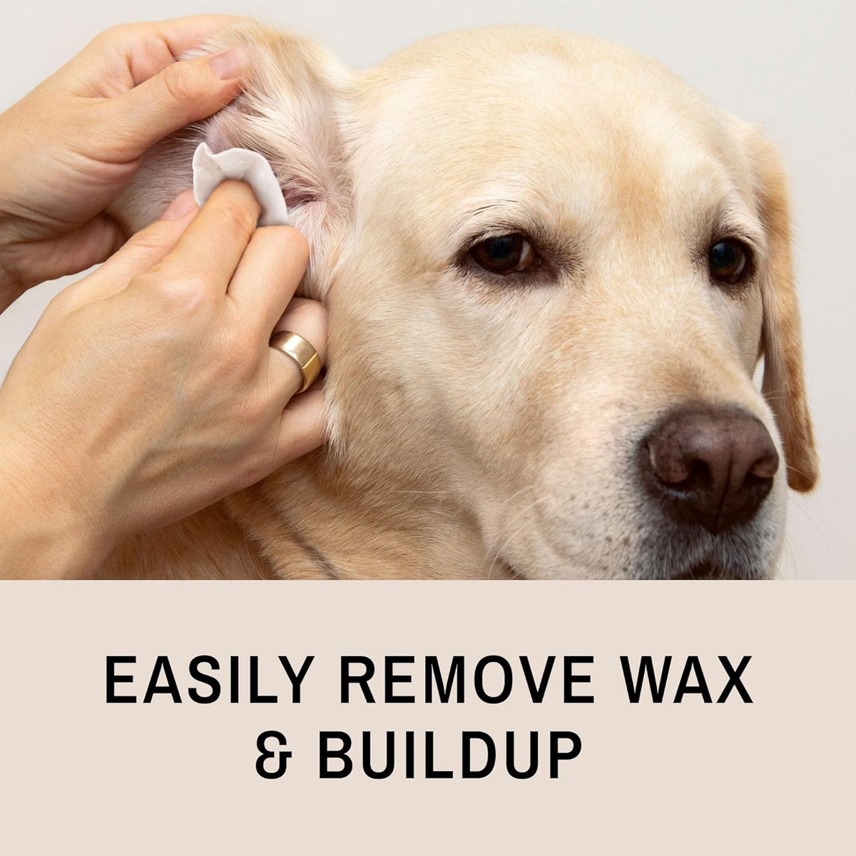 Eye Envy Fresh Ear Cleaning Wipes for Dogs. Made in The USA from Natural Ingredients. Unscented. Prevents Infections. Safe and Non-Irritating. Removes Dirt, Debris, and Wax buildup. 60 Count.