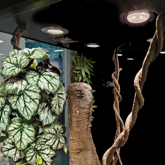 Woyrise Reptile Plants, Terrarium Hanging Plants Vines for Reptile Tank, Amphibian Habitat Leaves Decor with Suction Cups for Bearded Dragon Lizard Snake Gecko Frog Hermit Crab - 2Pack Green Heuchera