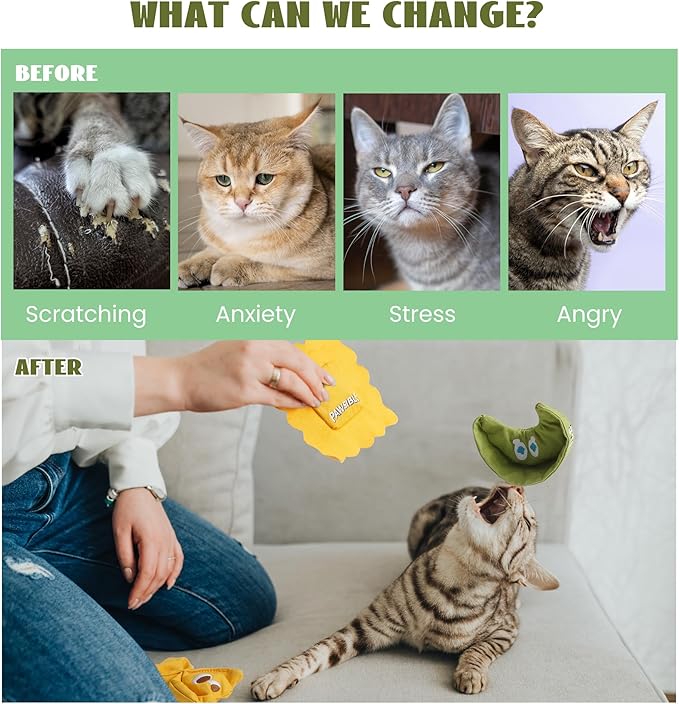 3 Pack Ravioli Catnip Toys for Indoor Cats, Interactive Cat Toys Filled with 100% Organic Catnip, Plush Chew Toys for Kittens, Teething Soft Catnip Toys for Cats