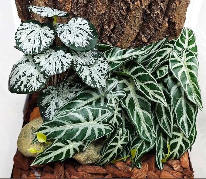 Woyrise Reptile Plants, Terrarium Hanging Plant Vines, Artificial Leaves with Suction Cup, Bearded Dragon Tank Accessories for Gecko Lizard Snake Frog Tortoise Decorations - Alocasia Velvet
