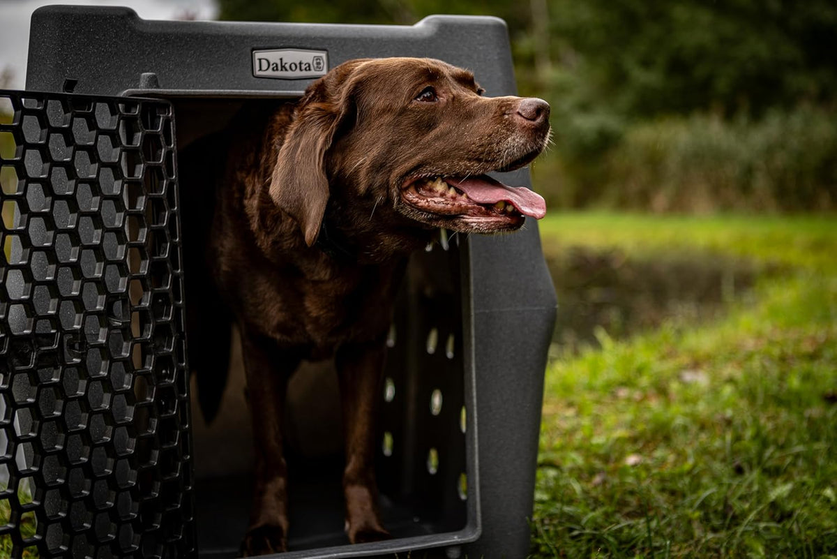 Dakota 283 Crate - Canine Rough and Tough Economy Kennel (Orange, Intermediate)