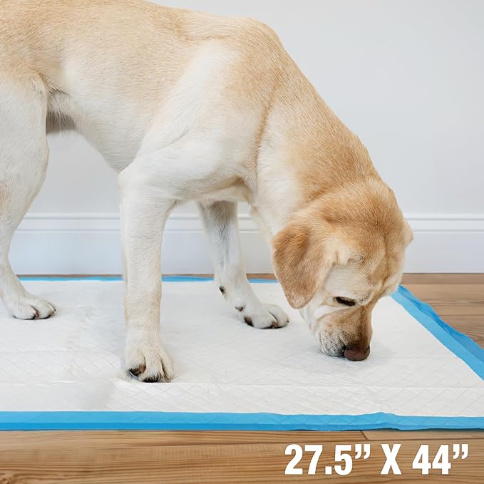 Four Paws Wee-Wee Superior Performance Pee Pads for Dogs with Runoff Barrier Edge Guard Protection, Puppy & Dog Potty Training Pads, Housebreaking Supplies, 27.5" x 44" (18 Count)