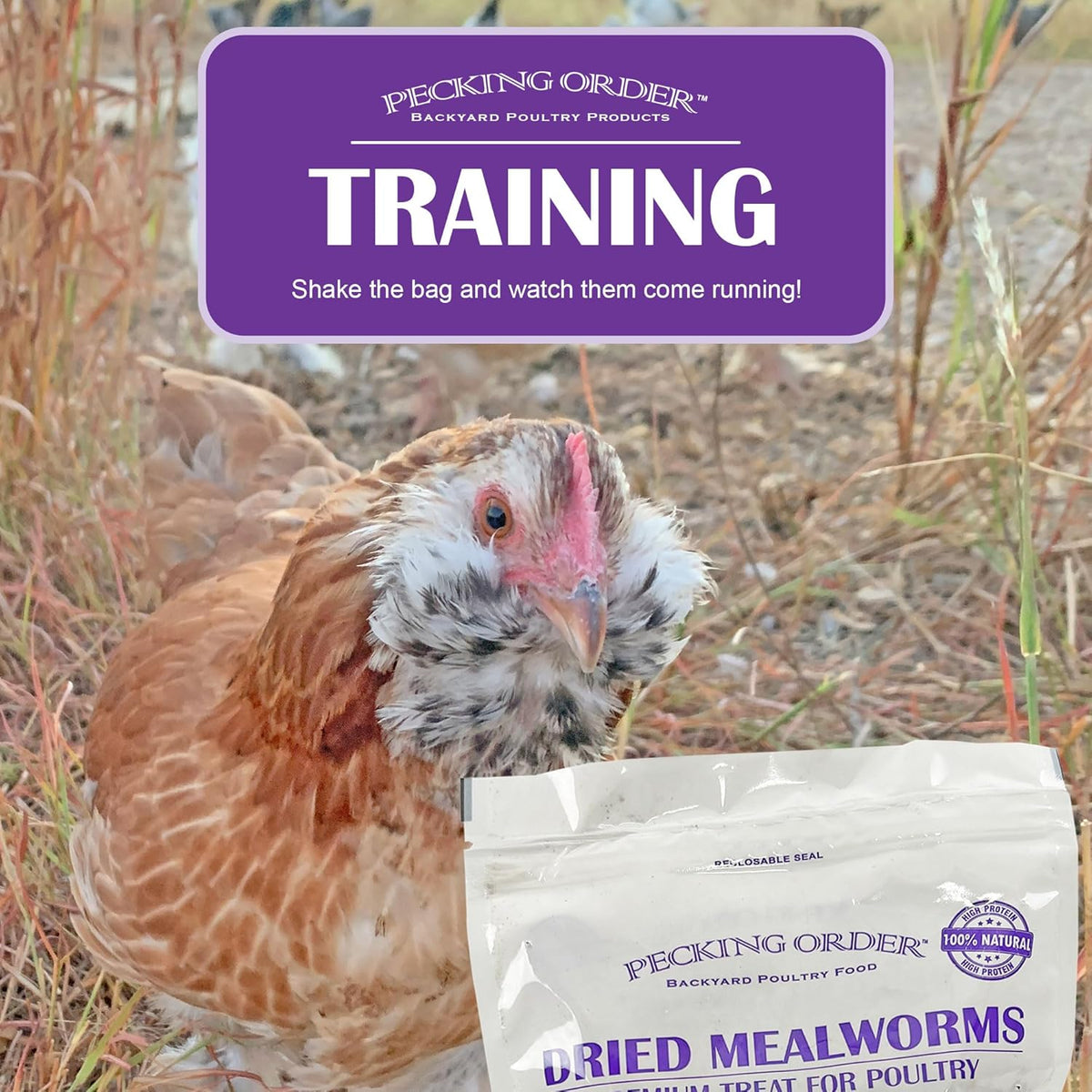 Pecking Order Dried Mealworms, 30 oz