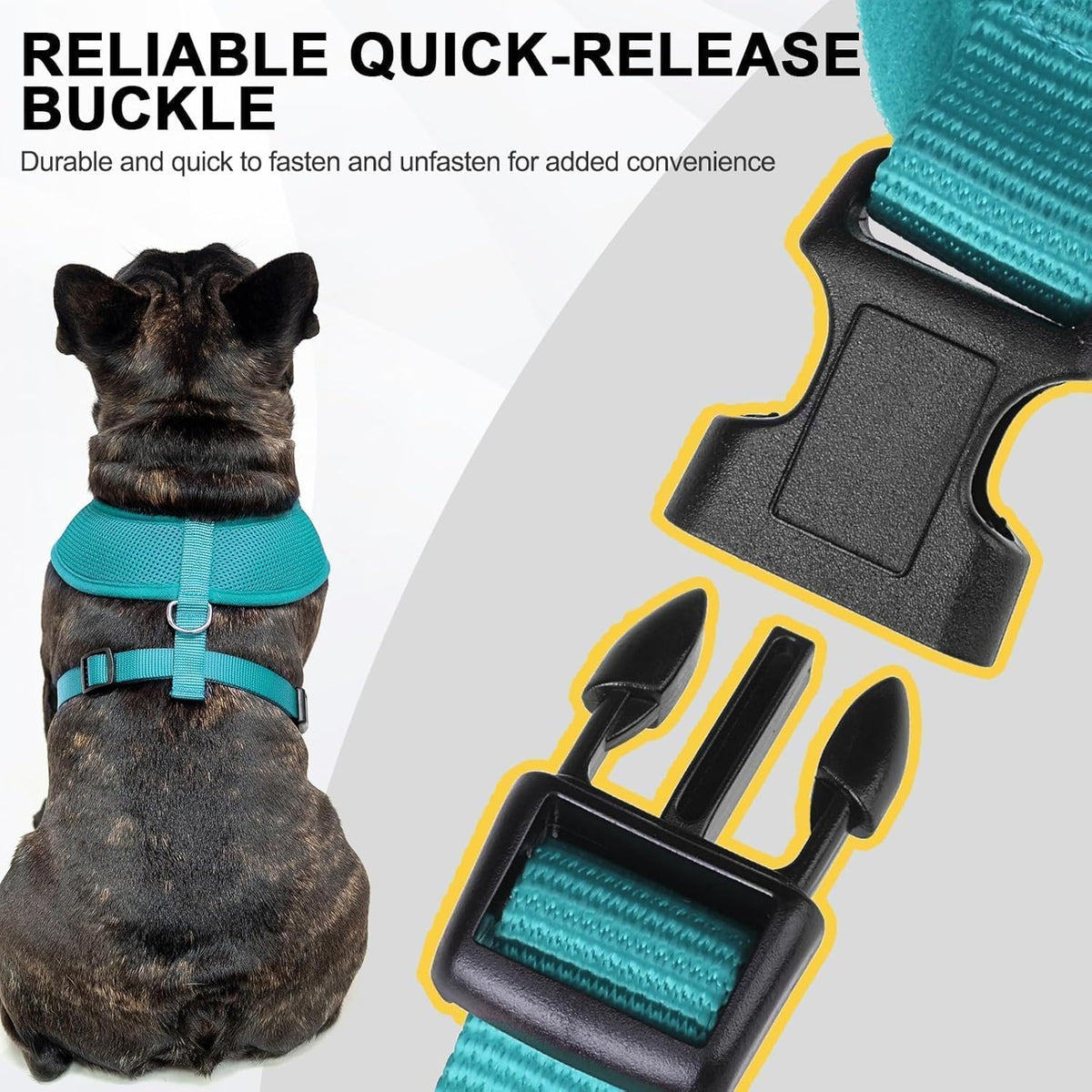 BINGPET Small Dog Harness - Breathable Mesh Puppy Cat Harnesses - No Pull Adjustable Dog Harness Dog Vest Harness for Small and Medium Dogs