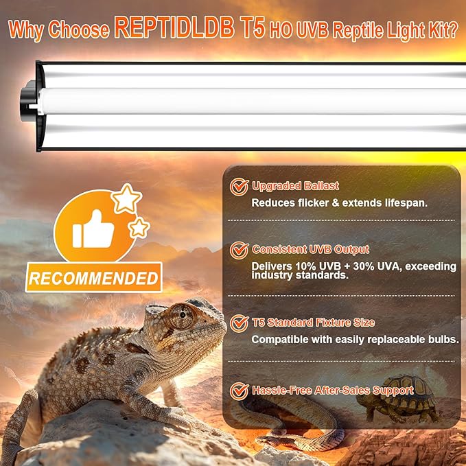 8W T5 10.0 UVB Reptile Light Fixture 12" – High Output UVA UVB Light for Bearded Dragons, Turtles & Snakes – Compact UVB Lamp for Desert & Tropical Reptiles (UVB 10.0-Desert, 12INCH-8W)