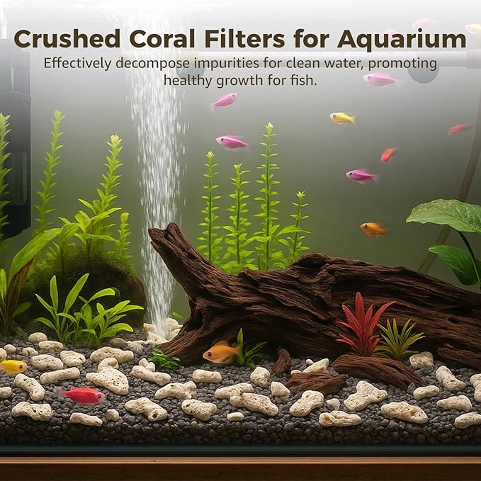 Homaisson 2 Bags Crushed Coral Filters, Fish Tank Filter Media for Aquarium, Fish Pond Coral Filtration Materials, Promotes Ecosystem Balance, Convenient Net Bag Packaging, 1.1 lbs Each Bag