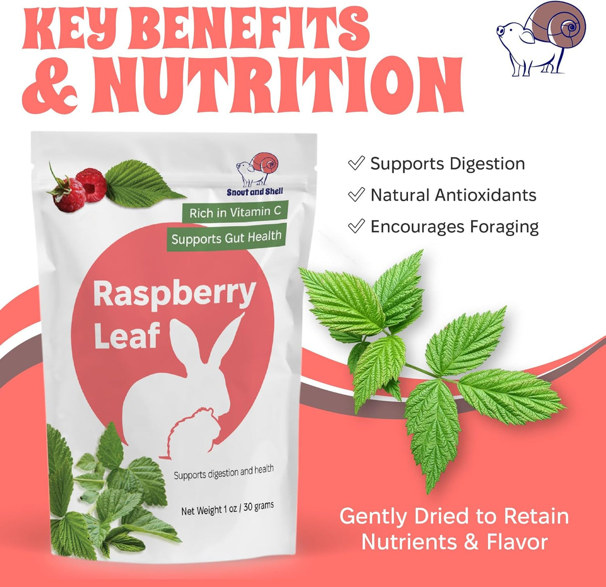 Snout and Shell Raspberry Leaf for Small Pets – 100% Natural Treat for Rabbits, Guinea Pigs, Hamsters & More – Rich in Vitamin C & Supports Gut Health – 1 oz (30g)