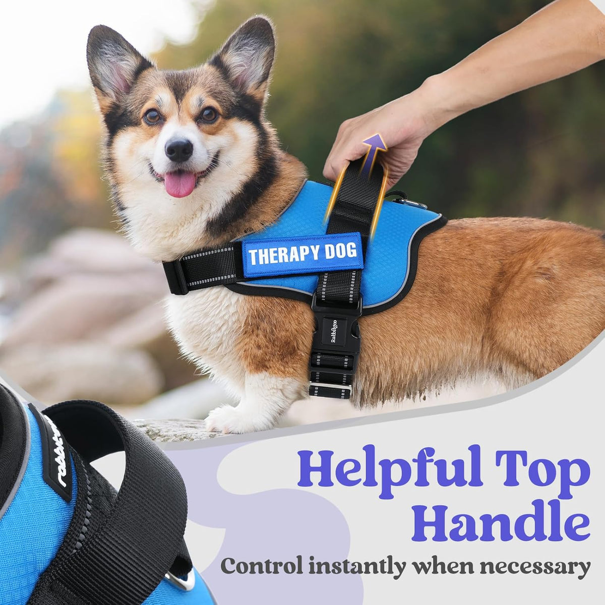 rabbitgoo Dog Harness for Small, Easy On Pet Vest with One Buckle, No Pull Adjustable Service Harness with D-Ring & Handle, Reflective for Safety Walking, Training, Blue, S