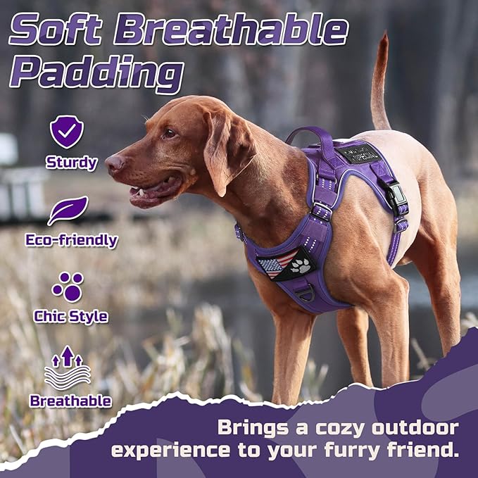 rabbitgoo Tactical Dog Harness Medium Sized Dog, No Pull Military Service Vest with Handle & Molle, Easy Control for Training Walking, Adjustable Reflective Straps, Purple, M