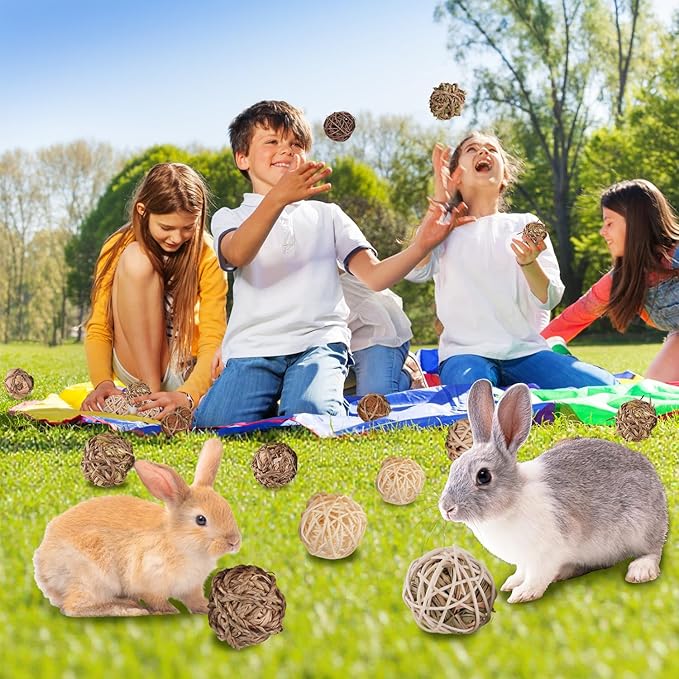 Sofier Rabbit & Guinea Pig Toys 16 Pcs Chew Grass Balls Natural Chews for Rodents - Handmade Enrichment Treats for Chinchillas, Guinea Pigs
