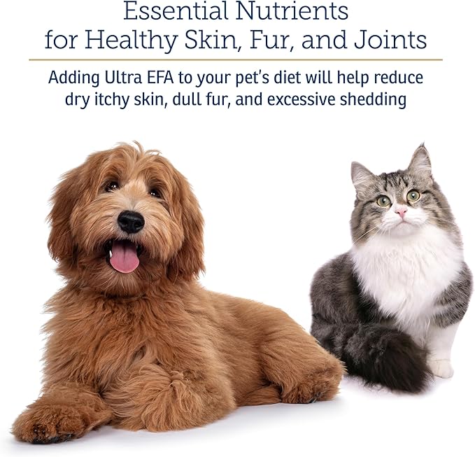 Rx Vitamins Ultra EFA Omega 3 Fish Oil for Dogs & Cats - Promotes Heart, Brain, and Joint Health with Vitamin E, Biotin, and Zinc - Liquid Fish Oil for Itch Relief, Dog Shedding, Coat Health - 8 oz