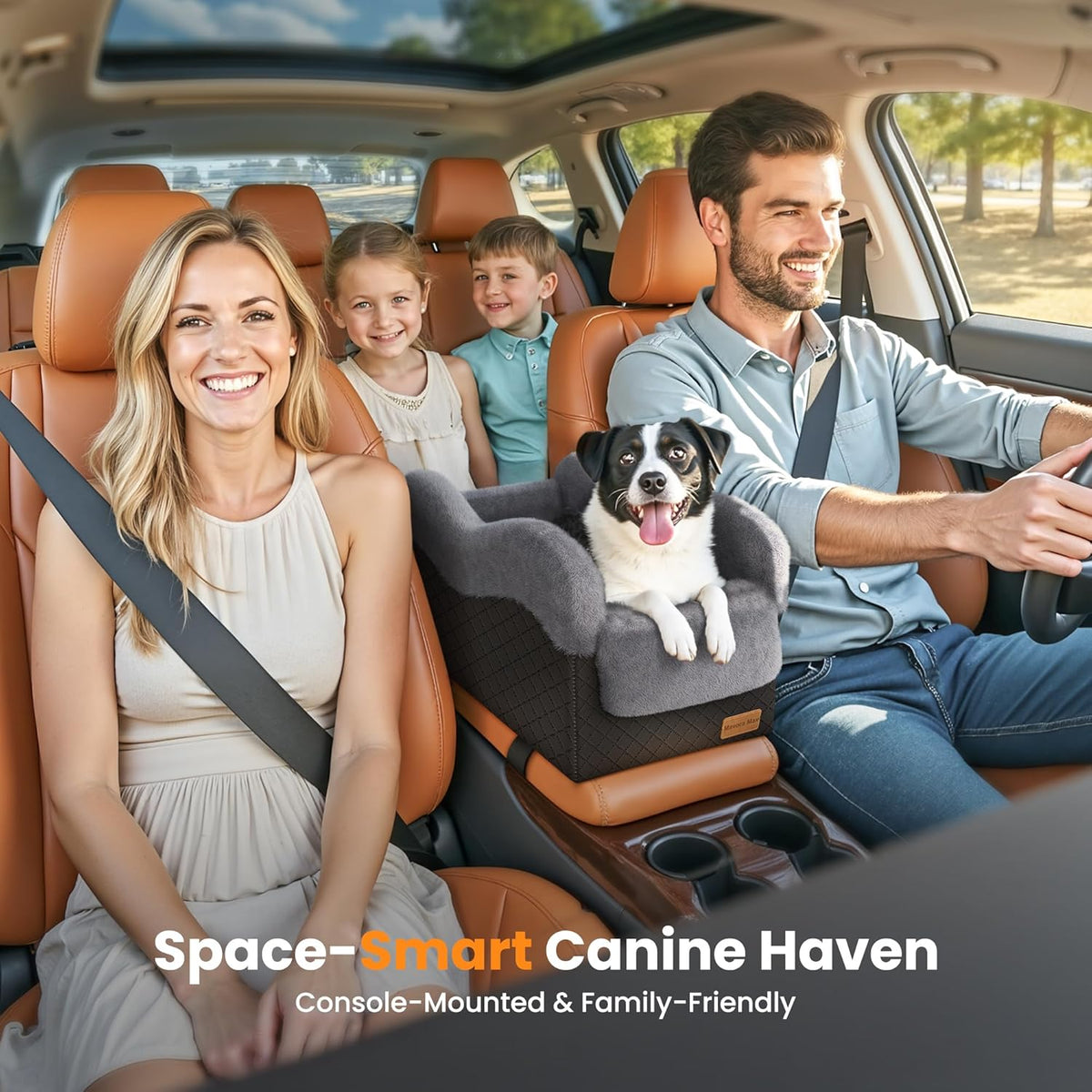 Portable Small Dog Seat for Car(Up to 11LB),Luxury Center Console Dog Car Seat Booster with Safety Tethers,Auti-Collapse Pet Travel Carrier for SUV,Truck.(Black/Grey)