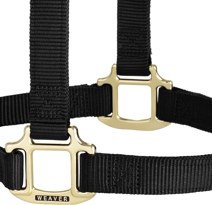 Weaver Equine Nylon Horse Halter, Triple-Ply Cheek Design, Original Non Adjustable Halters for Horses, Equine Tack,Average Size, Black