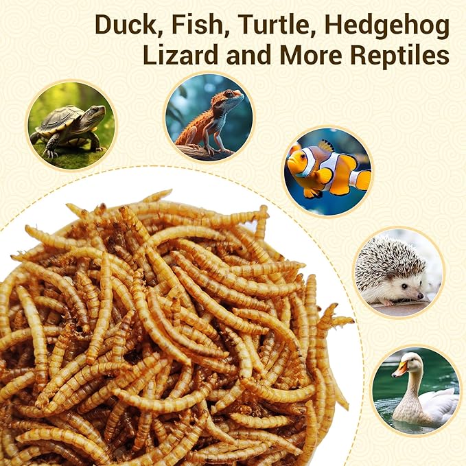 Dried Mealworms 5Lbs, High-Protein Bulk Mealworms, 100% Non-GMO Mealworm Treats for Birds, Chickens, Turtles, Fish, Hamsters and Hedgehogs All Natural Animal Feed