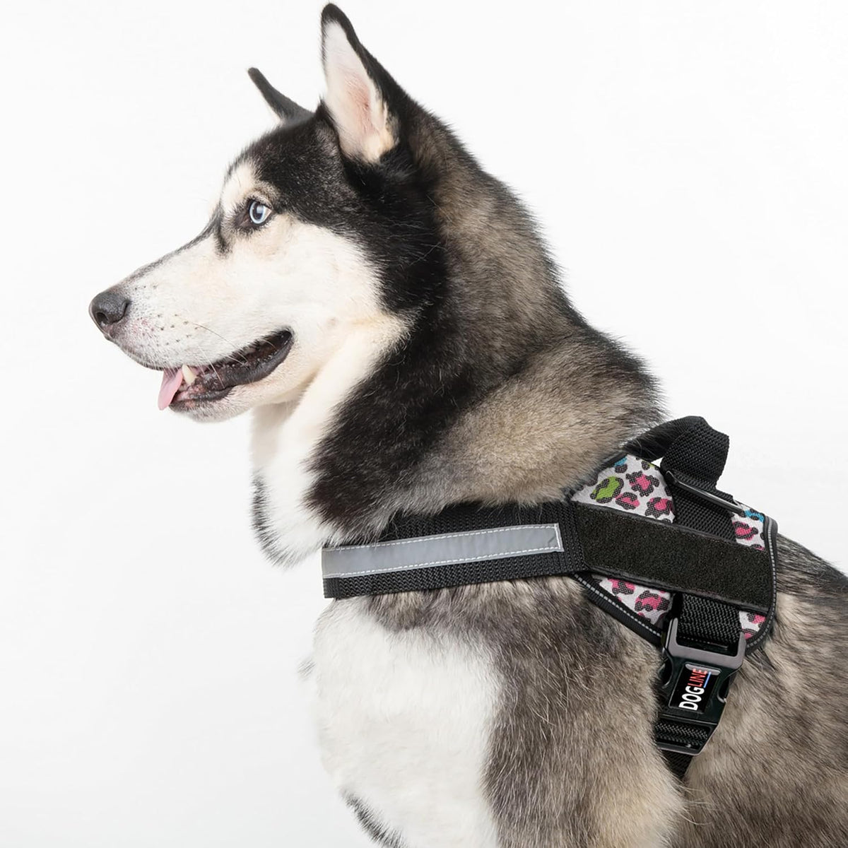 Dogline Dog Harness, Reflective No-Pull Adjustable Vest with Handle for Walking, Training, Breathable, No - Choke Harness for Small, Medium or Large Dogs Room for Patches Leopard Rainbow L 27"-34"