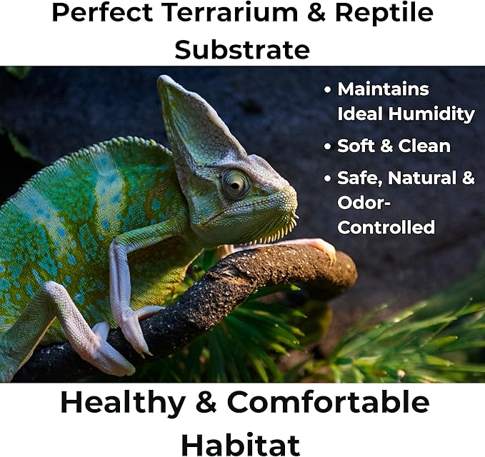 Peat Moss for Plants – Organic Sphagnum Peat Moss for Orchids, Terrariums, Seed Starting, Reptiles & Potting Soil Mix (1 Quart)