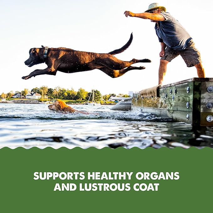 Grizzly Pet Products Algal Plus Omega 3-6-9 Food Supplement for Dogs and Cats, 8 Ounce Bottle