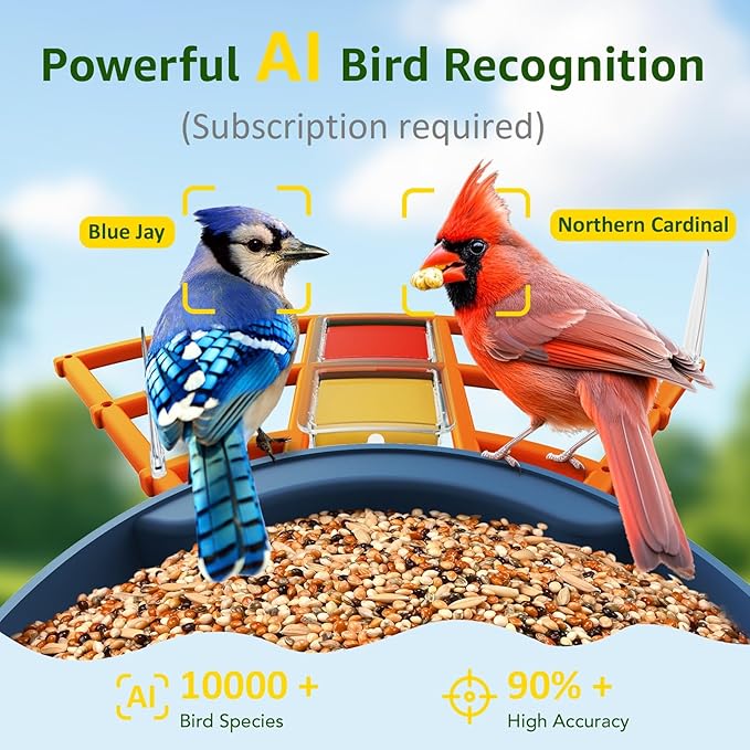 PeckCam® Smart Bird Feeder with Camera 2K HD Auto Detect & Notify, AI Identify 10000+ Birds Camera with Solar Panel 5 Perch Attachments Wireless Outdoor Birdwatching Gift for Birds Lover, Orange