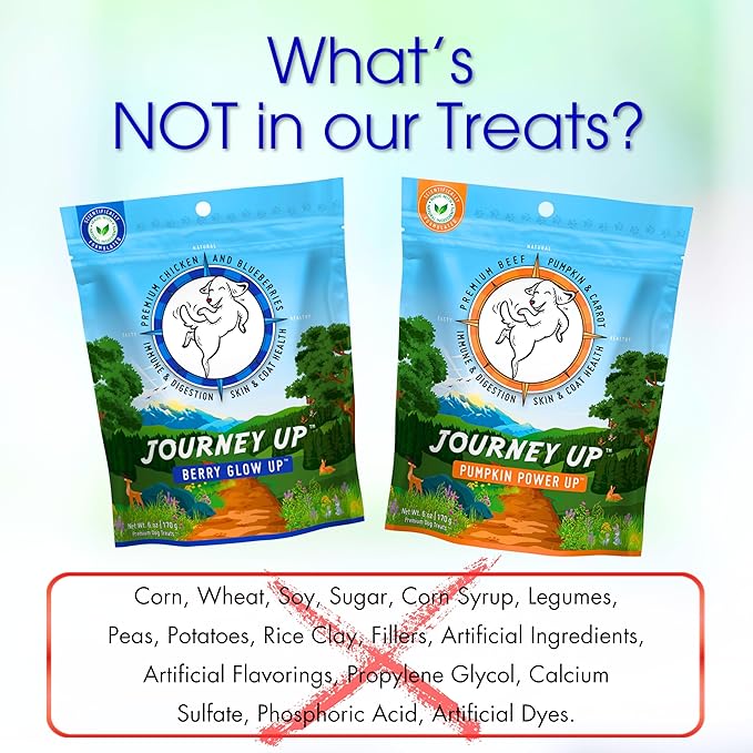 HappyTails Journey Up, Pumpkin Power Up Jerky Treats for Dogs with Beef, Pumpkin & Carrots-Made in USA-Prebiotics for Gut & Immune Health, Omega 3 & 6 for Skin & Coat, Small-Large Dogs, 6 oz.