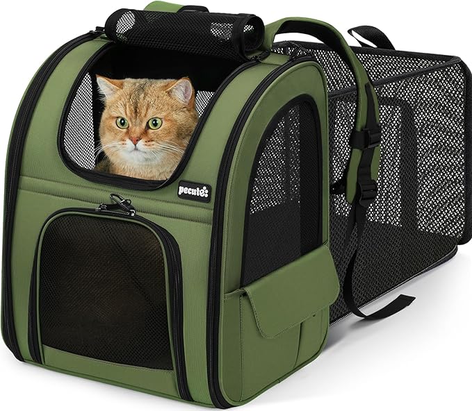 Pecute Expandable Cat Backpack Carrier, Backpack for Cats & Small Dogs Up to 11lbs, with 4-Side Breathable Mesh, Multi-Entry & Lockable Zippers for Travel, Hiking, Camping - Hands Free, Green