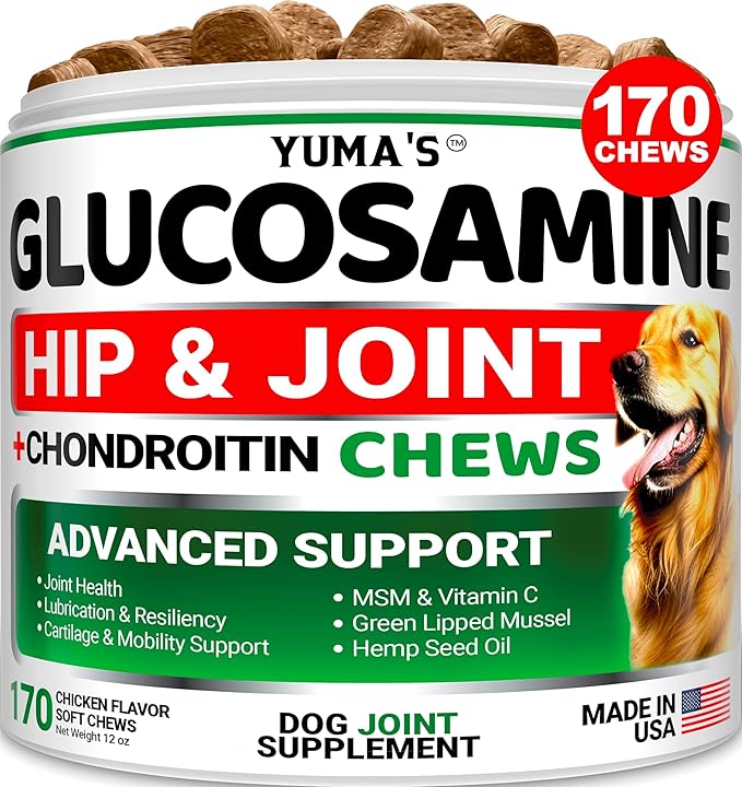 YUMA'S Glucosamine for Dogs - Hip and Joint Supplement for Dogs - 170 Ct - Glucosamine Chondroitin Chews - Joint Pain Relief Supplement with MSM - Advanced Health - Mobility Support - Made in USA