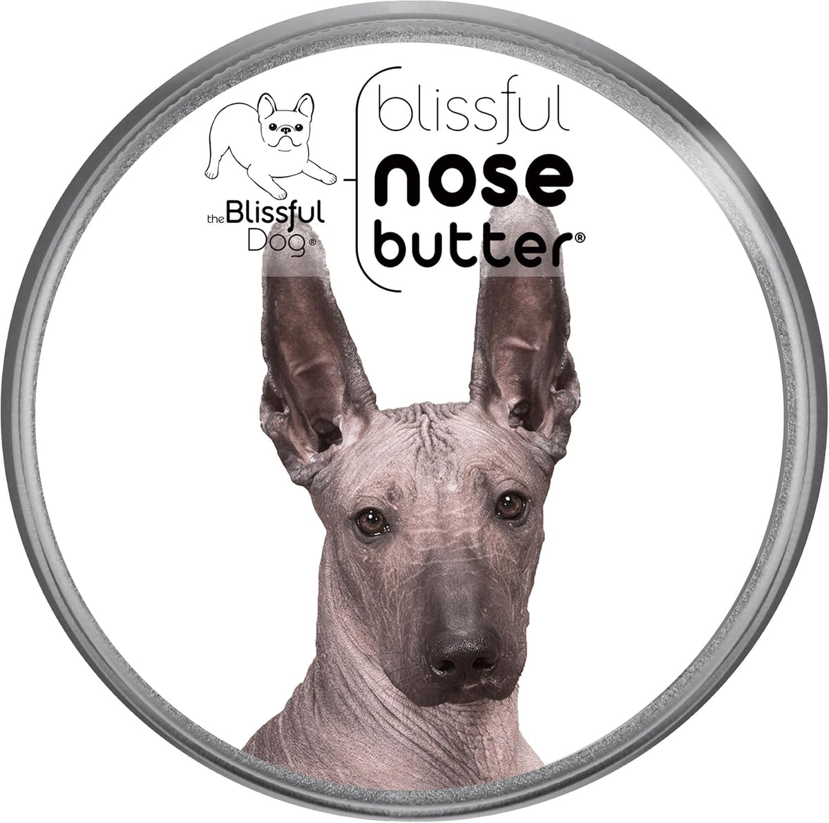 The Blissful Dog Xoloitzcuintli Nose Butter for Dry, Cracked Skin, Lick-Safe Dog Nose Balm with Moisturizing Shea Butter, Almond, Olive, and Essential Oils, Pet Supplies, Uncented, 8 oz.