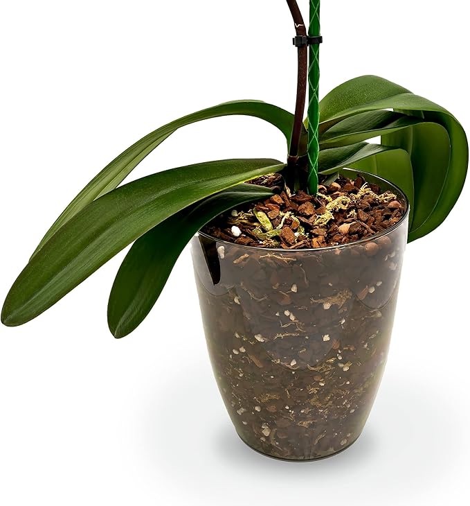 Organic Premium Orchid Soil Mix by Gardenera - Hand Mixed Classic Sphagnum Moss Potting Soil Mix - for Phalaenopsis Orchid - 1 Quart - Made in USA