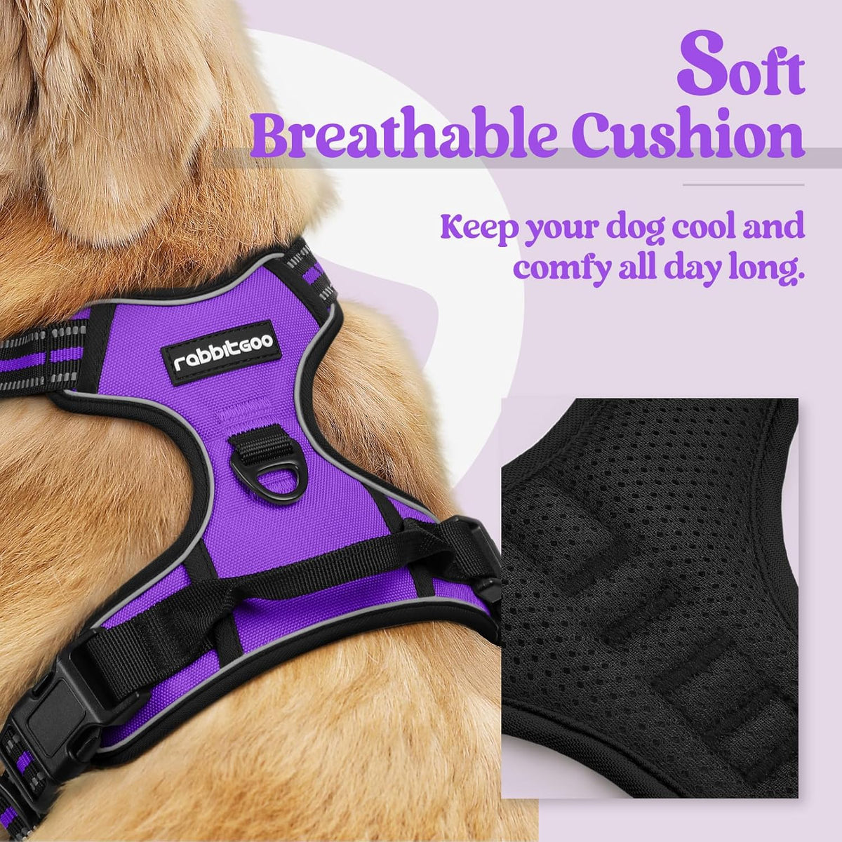 rabbitgoo Dog Harness No Pull with 2 Leash Clips, Adjustable Soft Padded, Reflective Oxford No Choke Pet Vest with Easy Control Handle for Large Dogs, Purple, XL