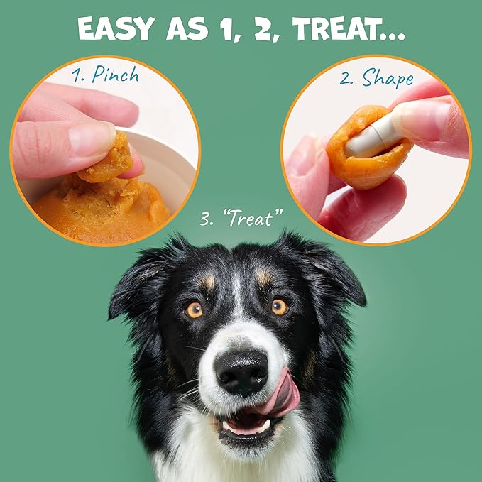 Flavor-Doh with Dog Probiotics - Flavored Pill Wrap for Dogs to Hide Capsules and Shape into Pill Pocket Treats for Dogs - Easy-to-Use Treat Paste for Pet Medicine - Savory Bacon (4.2oz)