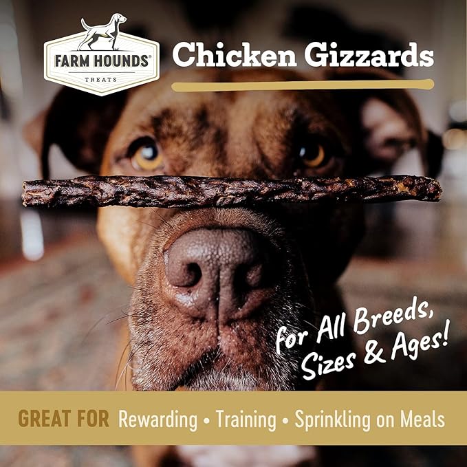 Farm Hounds - Chicken Gizzards - Premium Natural Jerky for Dogs -100% Humanely Raised Chicken - Break-to-Size - Great for Training & Treats - No Added Fillers - Made in USA - 4oz -2 Pack