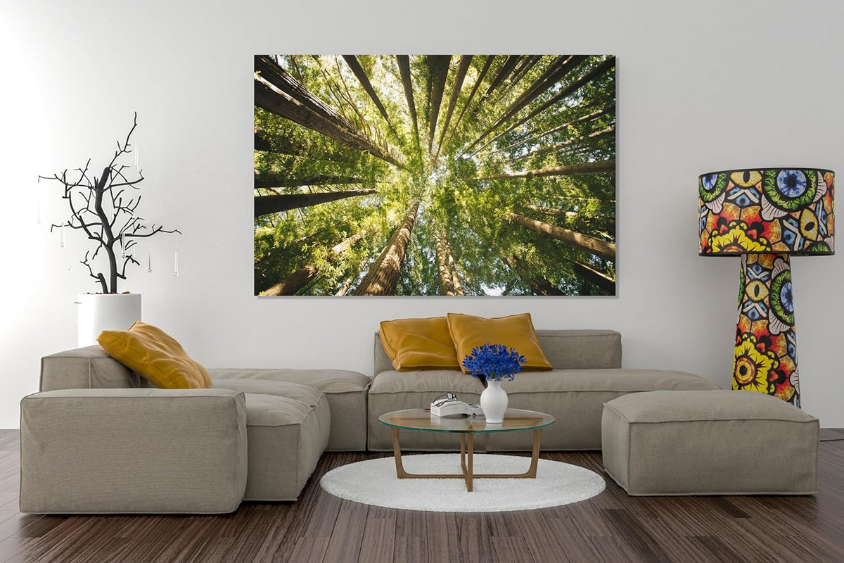 Nature Wall Art Prints - Ocean Forest Mountain Lake Canvas Landscapes - Small to Extra Large Living Room Bedroom Kitchen Bathroom Décor (Serenity in the Forest, 20L" x 30W")