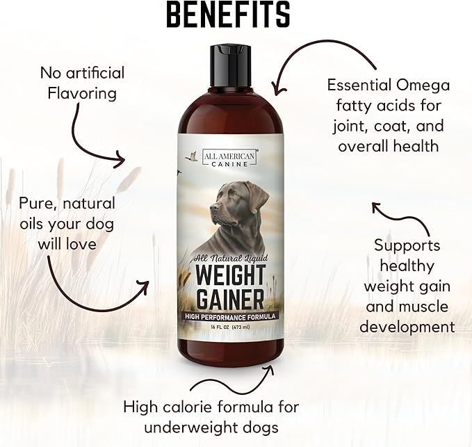 Dog Weight Gainer Liquid – High Calorie Dog Food Supplement for Rapid Weight Gain, Mass, and Recovery – Appetite Stimulant – 60 Servings