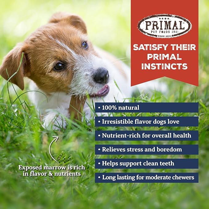 Primal Antlers for Dogs, Grade A Split Stag Antlers for Small Canines up to 15 lb, Natural Chews for Aggressive Chewers, Naturally Shed, Long Lasting Dog Bones, 1 ct