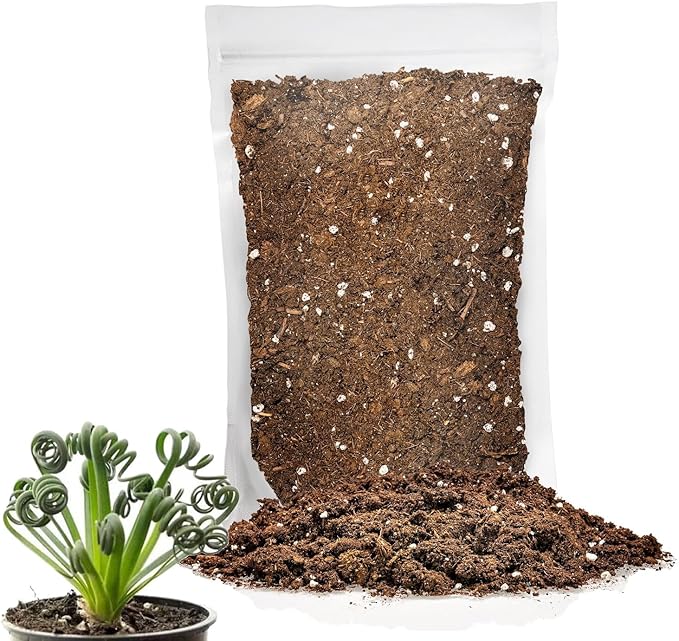 Gardenera Premium Albuca Spiralis Potting Soil Mix - Perfect Balance of Nutrients, Drainage, and Aeration for Thriving Blooms - 5 Quart