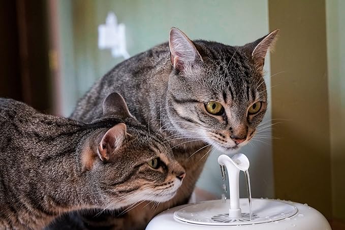 IntelliLeash PURRoducts Purrfect Water Fountain for Cats and Small Dogs with Premium 5-Layer Filter That Lasts Up to Two Months. Splash Free and Tip-Proof Design. Low Water Auto Shut-Off Feature.