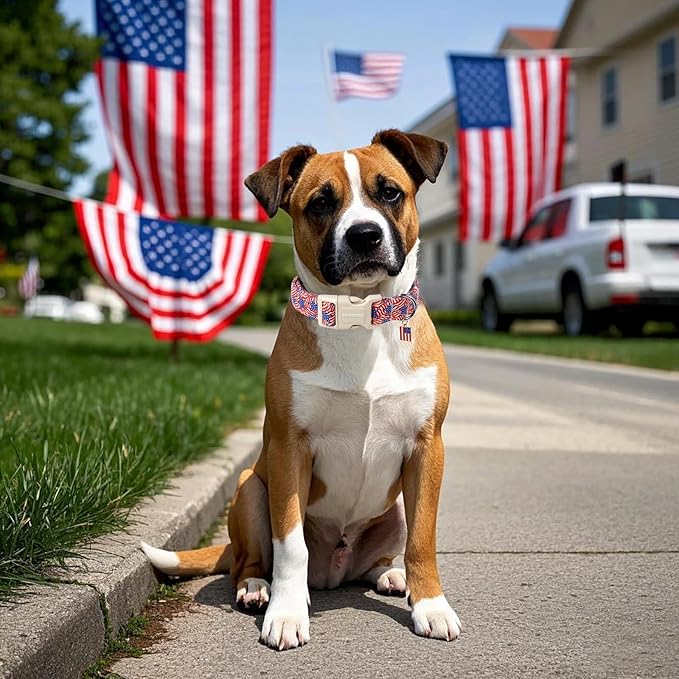 DOGWONG American Flag Dog Collar, Patriotic Independence Day Dog Collar Soft Fabric Pet Dog Collars, Boy Red White and Blue Necklace for Small Medium Large Dogs